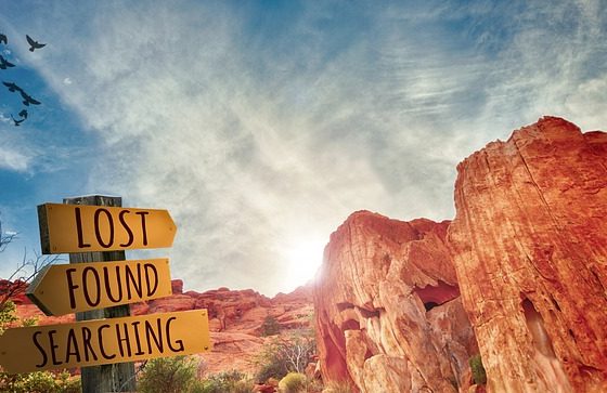 Lost, Found, and Searching